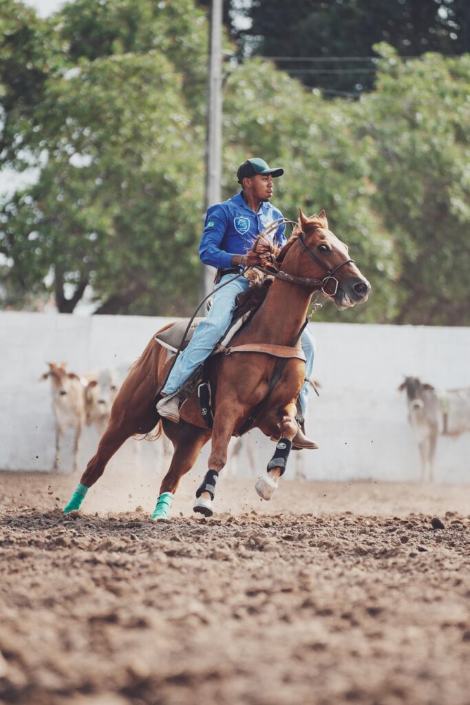 Final do Campeonato Baiano de Team Penning 2024 acontece em Macajuba e promete uma disputa acirrada