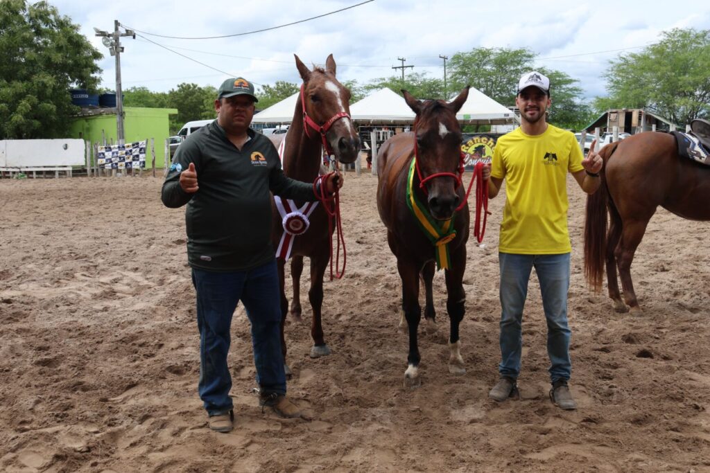 GP Integral Mix de Team Penning consagra éguas Luna Laredo Blue e Diana Jaybee como as grandes campeãs de 2024