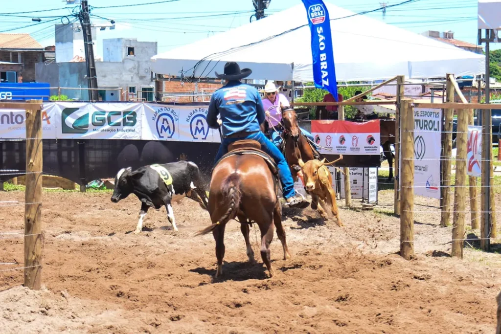 Ranch Sorting: nova competição empolga público na Fenagro