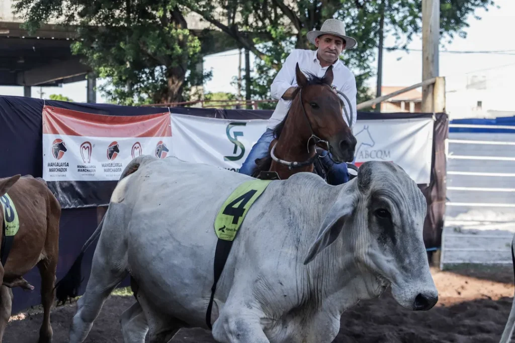Deputado Pastor Isidório ‘joga duro’ e ganha de Secretário Tum no Ranch Sorting