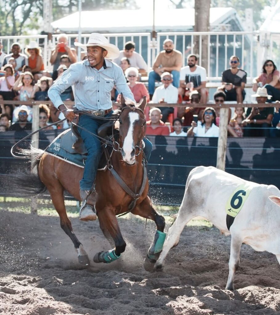 Confira os campeões da Copa Venturoli de Ranch Sorting na Fenagro 2024