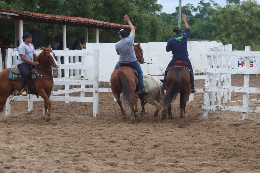 Campeonato Baiano de Team Penning divulga calendário oficial para temporada 2025 