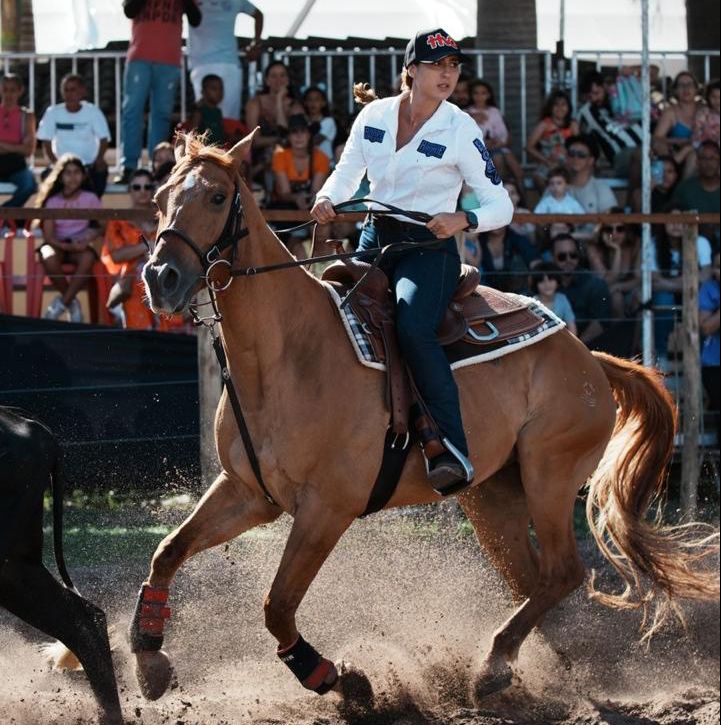 Agenda do Cavalo lança iniciativa para ajudar criadores a vender cavalos atletas de Ranch Sorting, Team Penning e Três Tambores