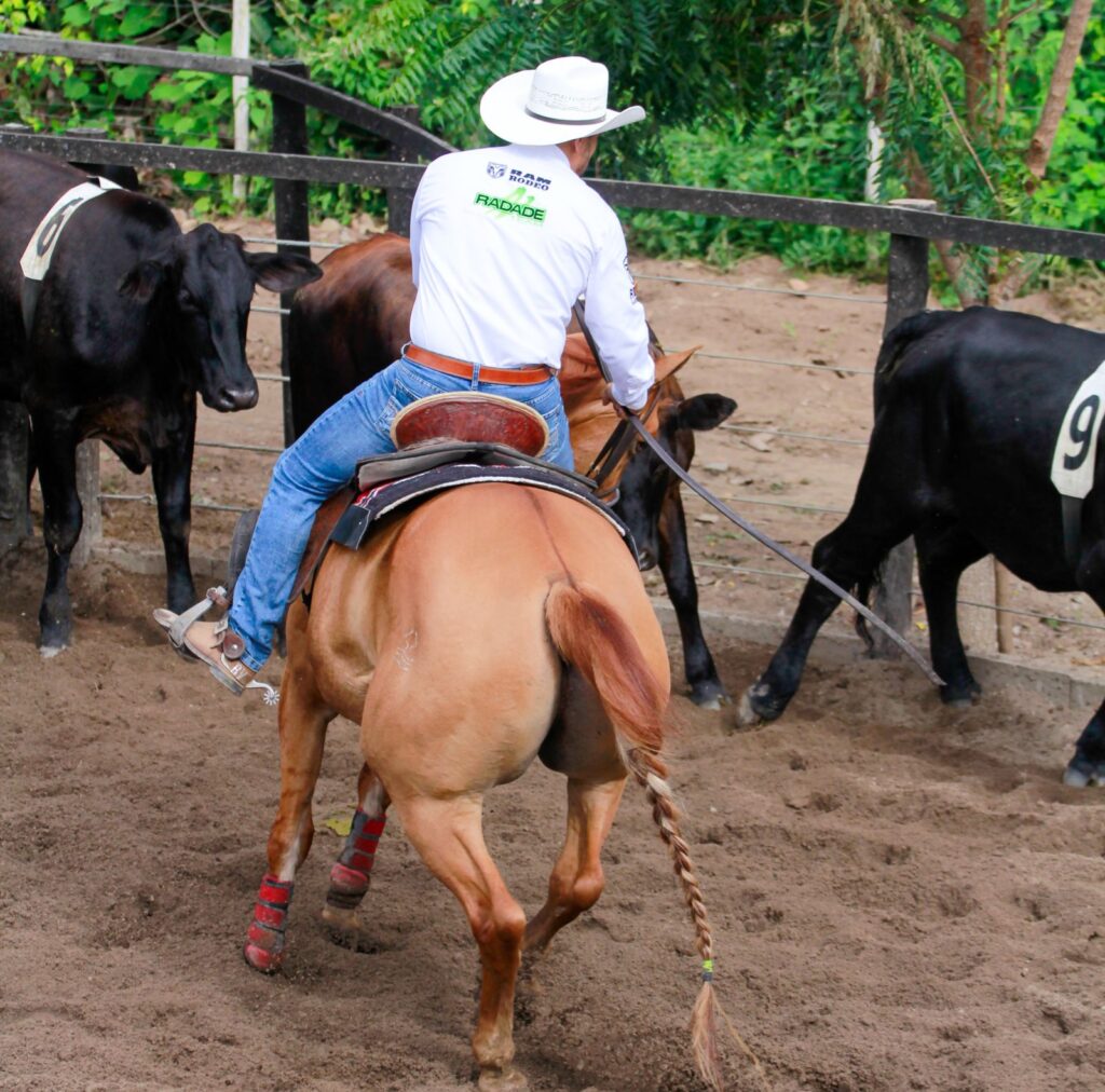 Maiquinique recebe a 4ª Etapa do Campeonato Baiano de Ranch Sorting 2025 nos dias 4 e 5 de julho