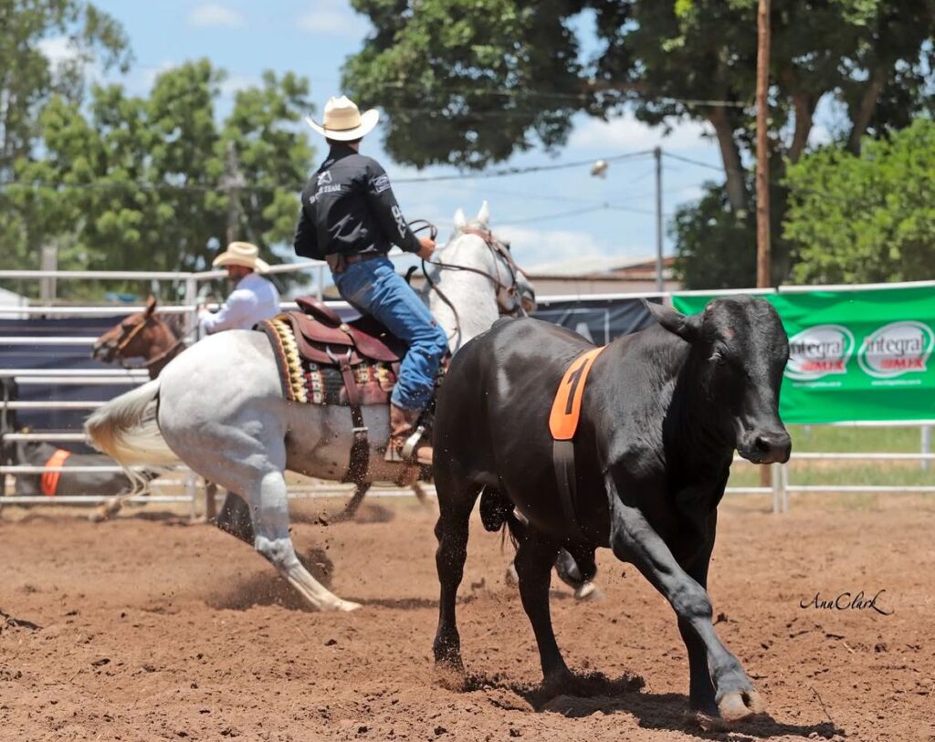 1ª Edição do Itapetinga Horse Show de Ranch Sorting promete atrair competidores de todo Brasil