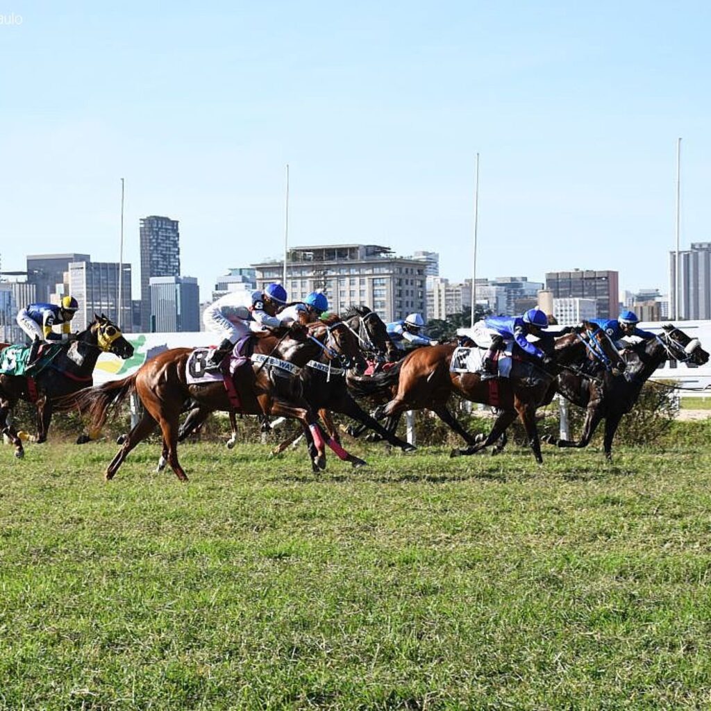 Ministério do Esporte regulamenta apostas em vaquejadas, rodeios e provas com cavalos