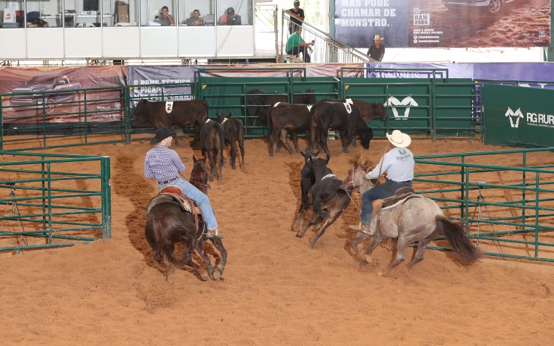 Feira de Santana sedia provas oficializadas ABQM de Ranch Sorting neste final de semana