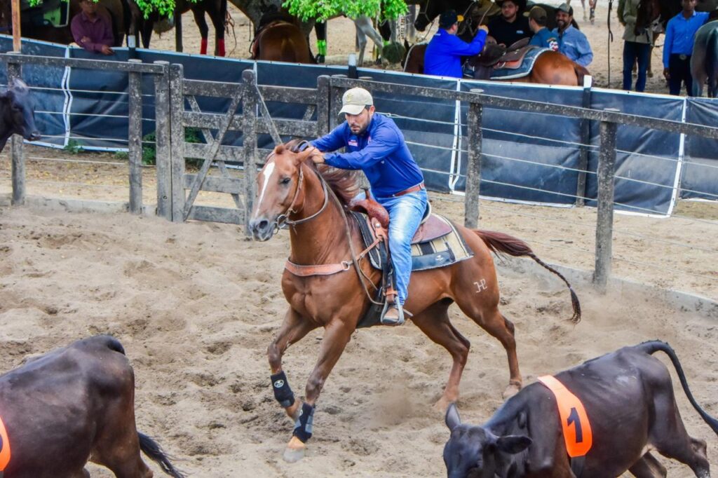 I Etapa do Campeonato Baiano de Ranch Sorting 2025 movimenta amantes do cavalo em Feira de Santana nos dias 21 e 22 de fevereiro