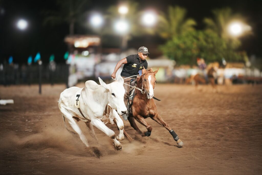 Confira os vencedores da I Etapa do Campeonato Baiano de Team Penning 2025