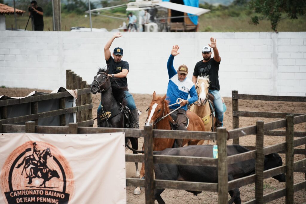 240 trios disputam a 2ª etapa do Campeonato Baiano de Team Penning 2025 no Parque São Simão
