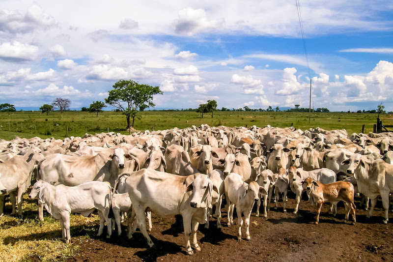 Banco do Nordeste projeta realizar R$ 8,5 milhões em negócios na Expo Itapetinga