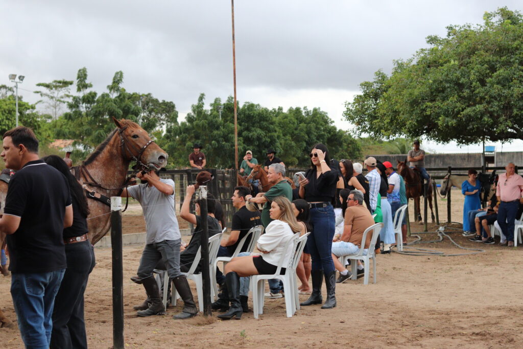 Centro Equestre oferece aulas de equitação para adultos e crianças em Feira de Santana