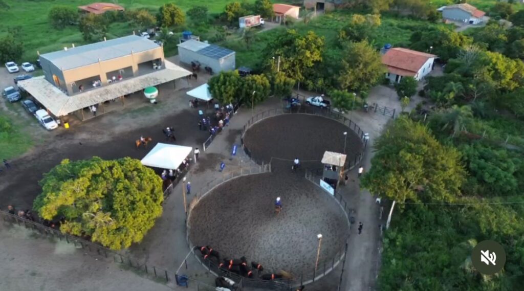 7ª Etapa do Campeonato Baiano de Ranch Sorting 2025 vai acontecer no Clube do Cavalo Ranch em Feira de Santana