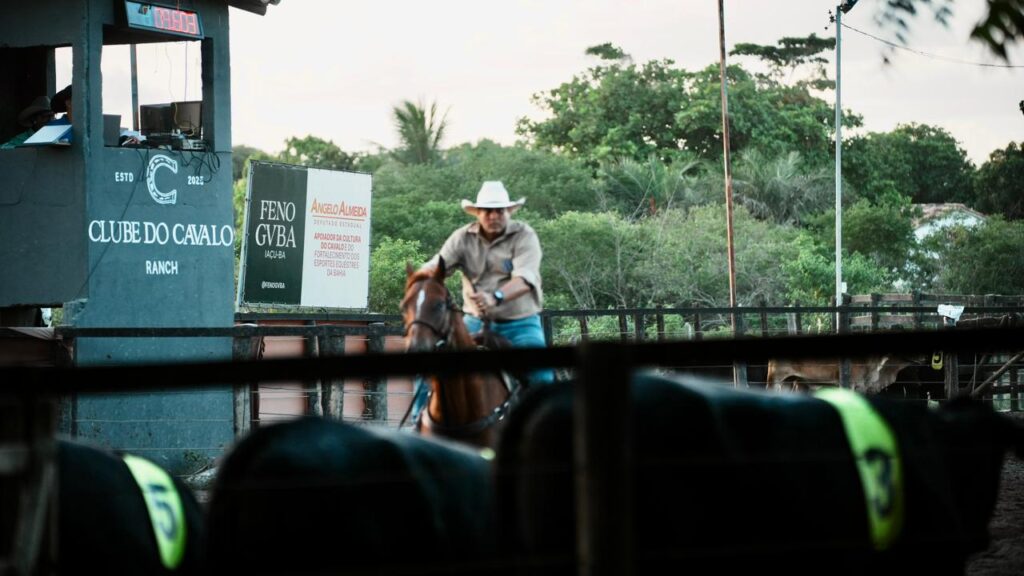 II Etapa do Campeonato Baiano de Ranch Sorting reuniu grande público e premiação superior a R$ 40 mil no Clube do Cavalo Ranch