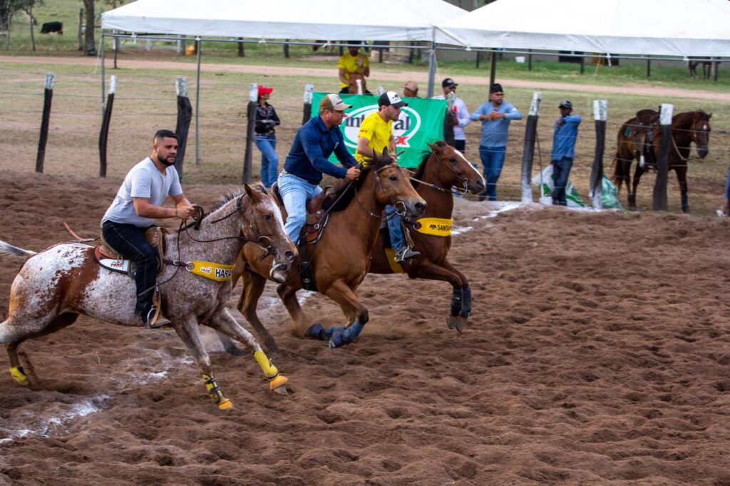 Ipirá recebe a 5ª etapa do Campeonato Baiano de Team Penning 2026 com transmissão ao vivo e premiações especiais