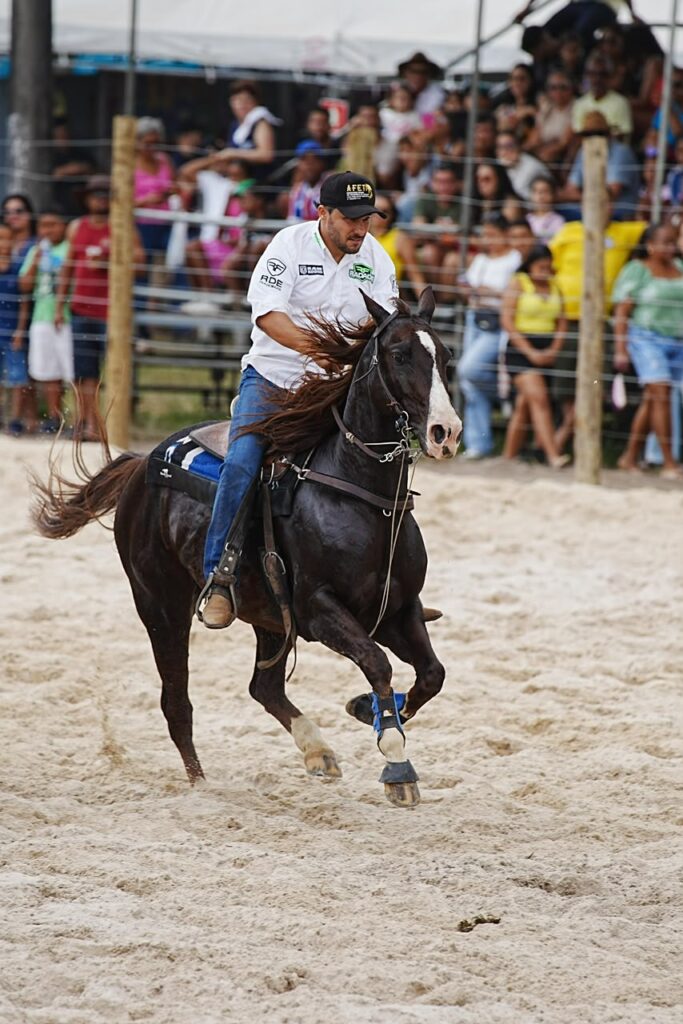Expofeira recebe etapa final do Campeonato Baiano de Team Penning com cinco dias de competição