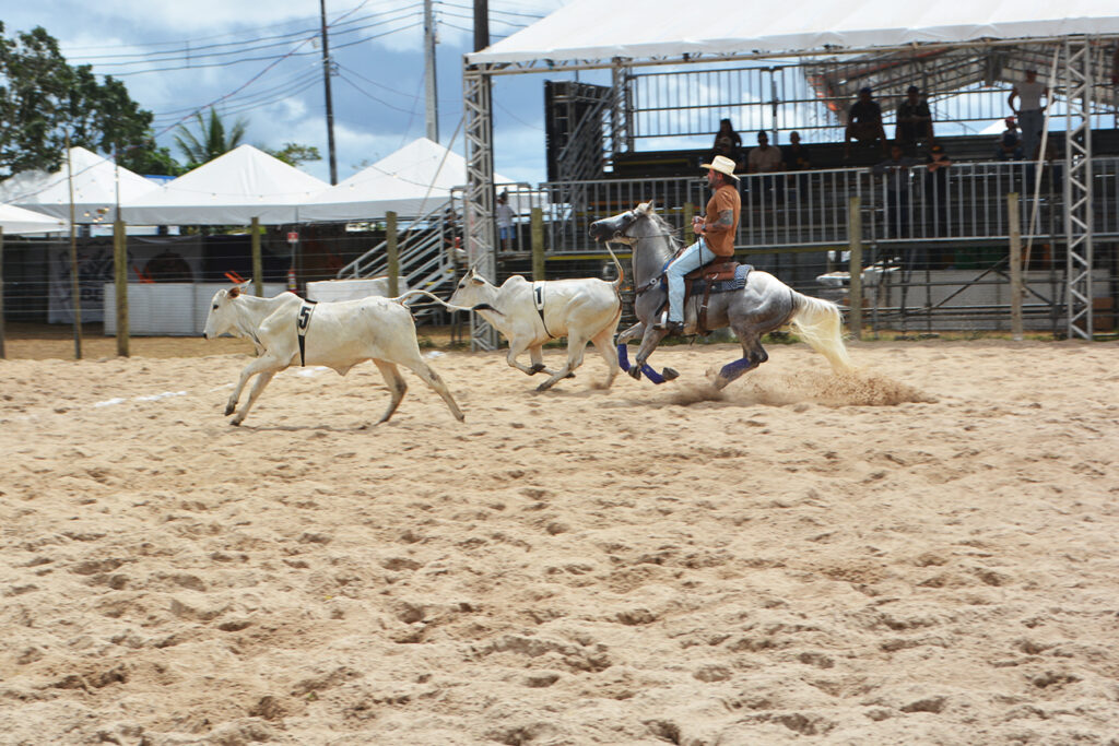 Expofeira se consolida como principal vitrine do Team Penning na Bahia